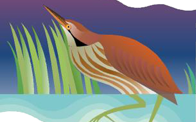 First Saturday Bird Walk