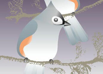 First Saturday Bird Walk