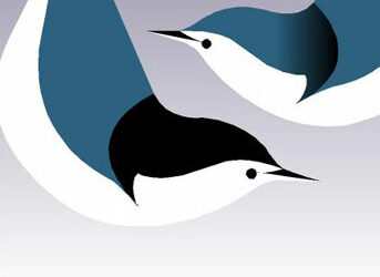 First Saturday Bird Walk