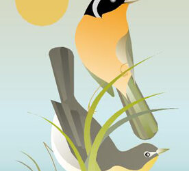 First Saturday Bird Walk