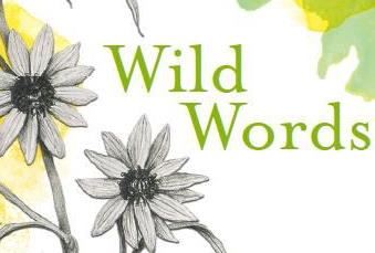 “Wild Words: Poetry & Prairie” – Aubrey Streit Krug, director, Perennial Cultures Lab, The Land Institute