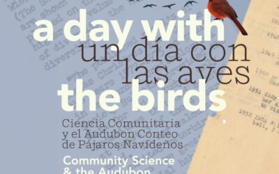 Closing Reception: A Day with the Birds